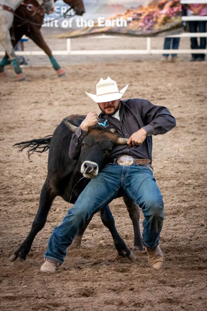 A cowboy engages in thrilling bull wrestling during a lively rodeo event, showcasing strength and skill.